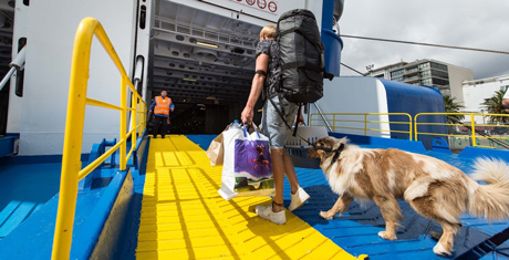 Embarquement d’un passager sur le ferry Moby Lines en direction de la sardaigne avec chien en laisse, un chat dans sa cage de transport et ses bagages personnels dans son autre main, ainsi qu’un sac à de dos de voyage se faisant accueillir par un membre de l’équipage à l’entrée du ferry 